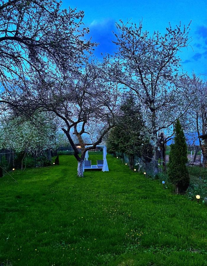 Casa Leny Hotel Tohanu Nou ภายนอก รูปภาพ