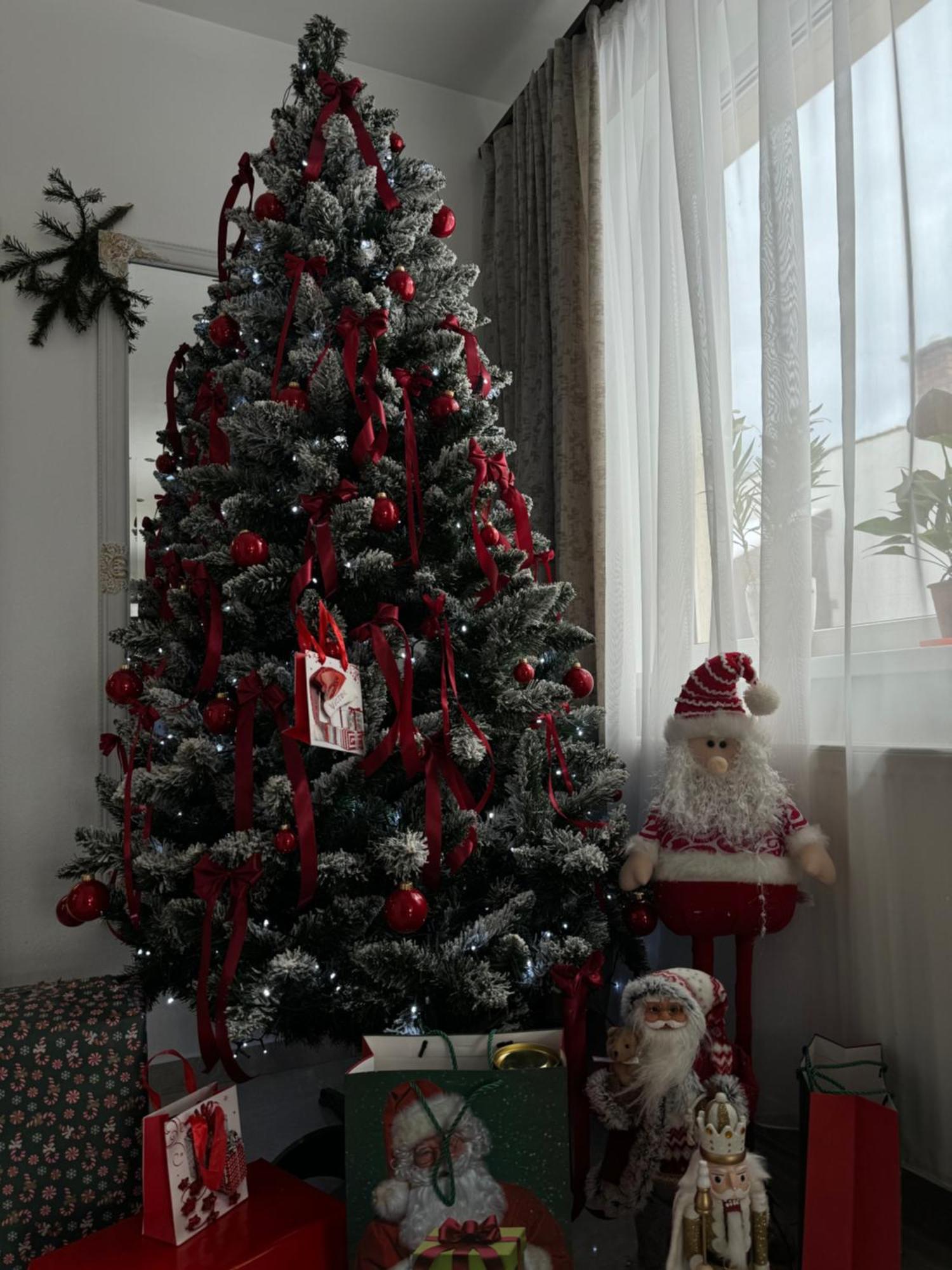 Casa Leny Hotel Tohanu Nou ภายนอก รูปภาพ