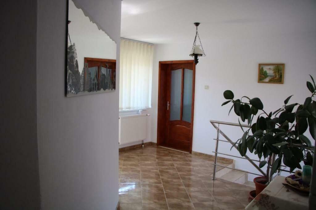 Casa Leny Hotel Tohanu Nou ภายนอก รูปภาพ